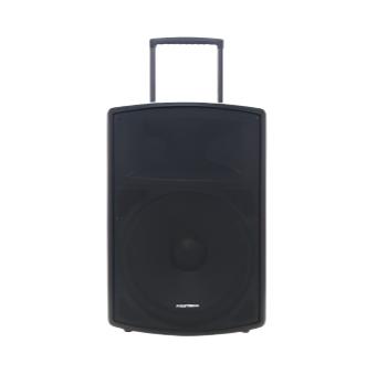 POLYTRON - SPEAKER AKTIF 15" - PAS-PRO15F3