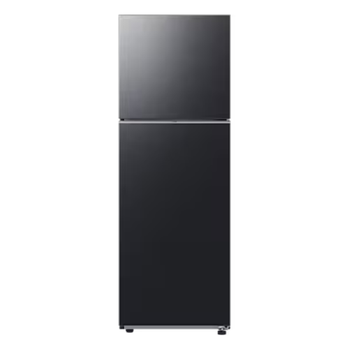 SAMSUNG - KULKAS 2 PINTU BIG (305L) - RT31CG5420B1**